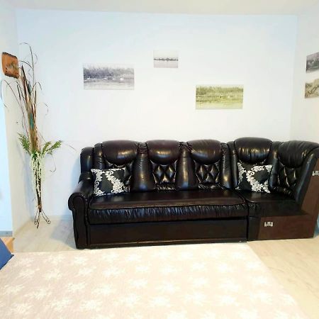 Apartament Dor De Delta スリナ エクステリア 写真