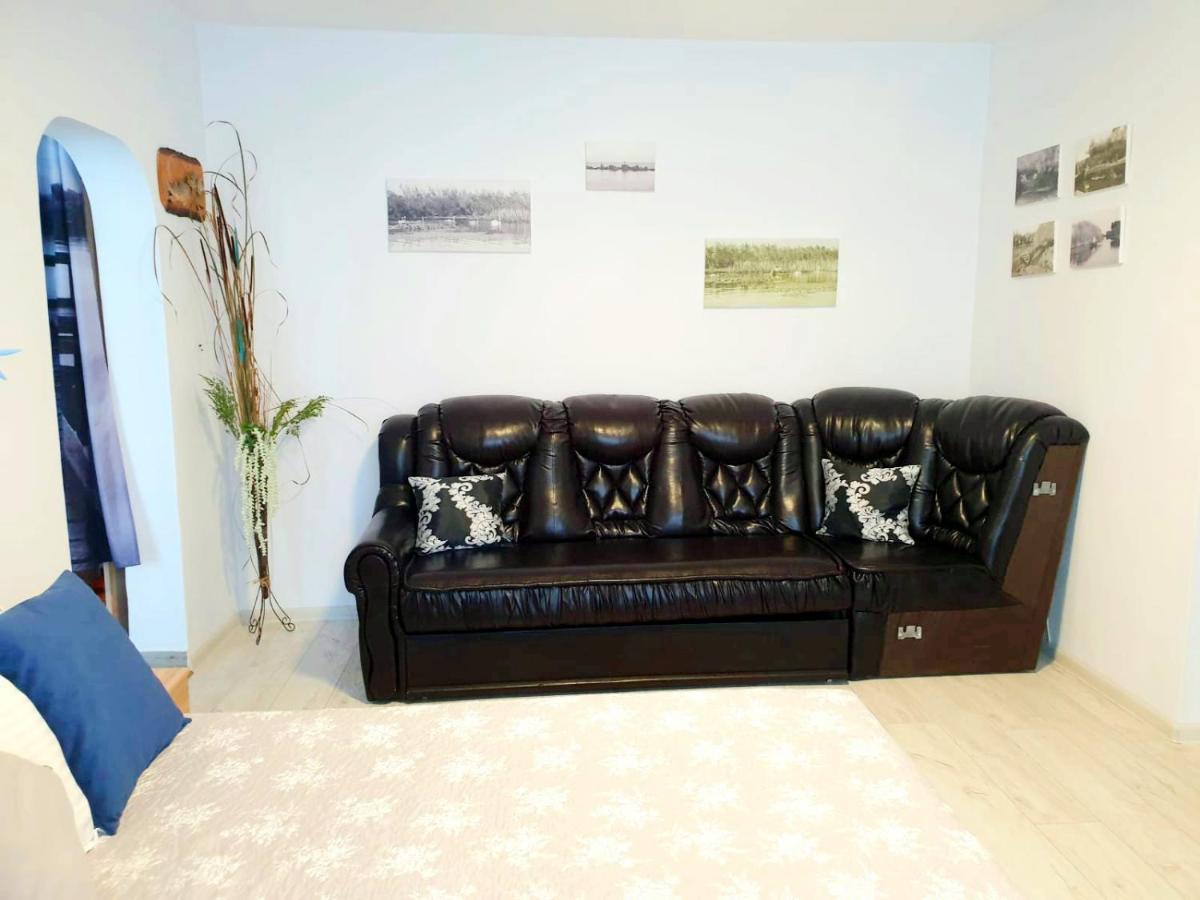Apartament Dor De Delta スリナ エクステリア 写真