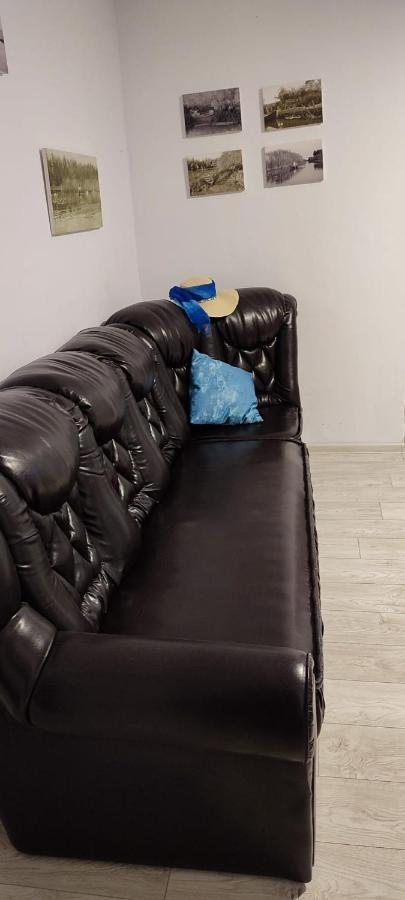Apartament Dor De Delta スリナ エクステリア 写真